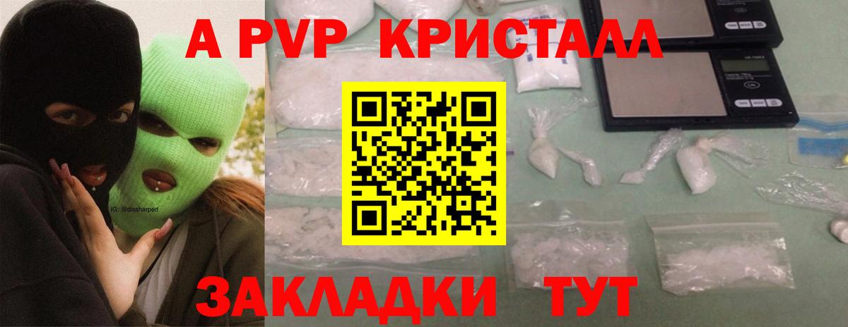 Alfa_PVP СК Сосновый Бор