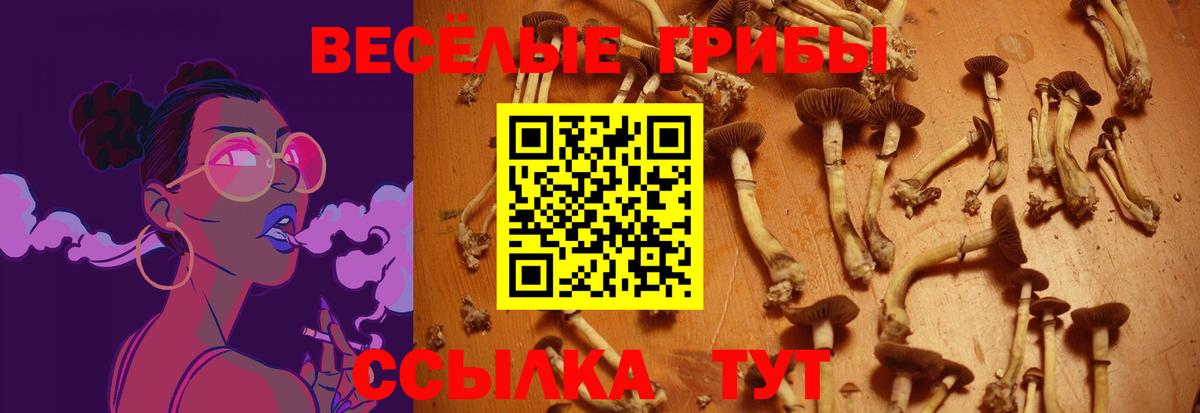 Галлюциногенные грибы мицелий Сосновый Бор